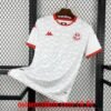 Maillot Tunisie Extérieur Coupe du Monde 2026