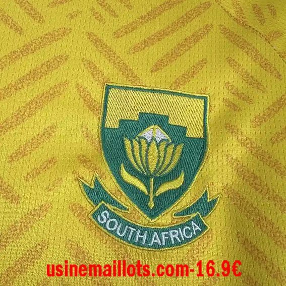 Maillot Afrique du Sud Domicile Coupe du Monde 2026 – Image 3