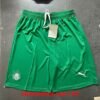 Short Palmeiras Domicile 2026/2027