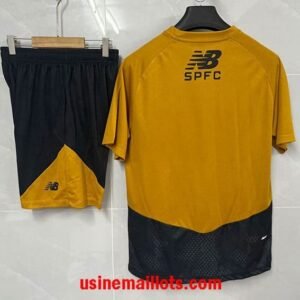 Alternative view of Ensemble Training Sao Paulo 2026/2027