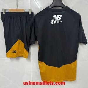 Alternative view of Ensemble Training Sao Paulo 2026/27