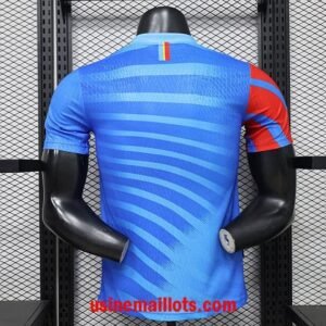 Alternative view of Maillot Congo 2026/2027 Bleu