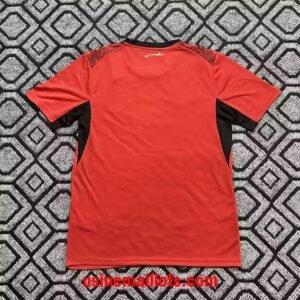 Alternative view of Maillot Egypte Domicile Coupe du Monde 2026