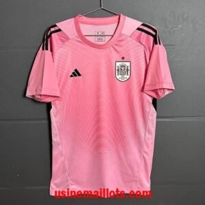 Maillot Gardien Espagne Coupe du Monde 2026 Rose