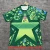 Maillot Gardien USA Coupe du Monde 2026 Vert