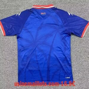 Alternative view of Maillot Haiti Domicile 2026/2027