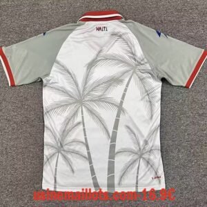 Alternative view of Maillot Haiti Extérieur 2026/2027