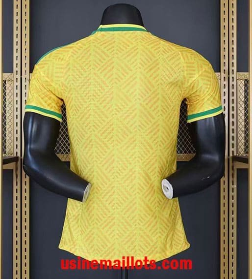 Maillot Match Afrique du Sud Domicile Coupe du Monde 2026 – Image 3