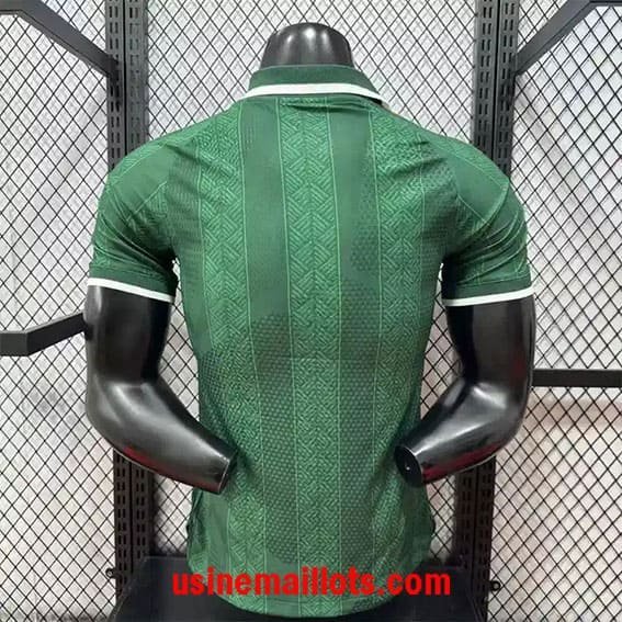 Maillot Match Afrique du Sud Extérieur Coupe du Monde 2026 – Image 4