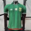 Maillot Match Afrique du Sud Extérieur Coupe du Monde 2026