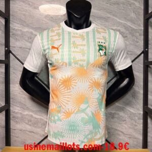 Maillot Match Ivory Coast Extérieur Coupe du Monde 2026