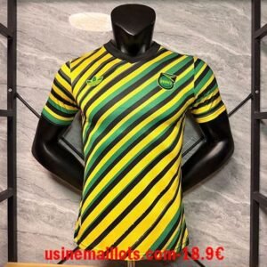Maillot Match Spécial-Édition Jamaica 2026 Jaune Vert