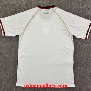 Alternative view of Maillot Panama Extérieur Coupe du Monde 2026
