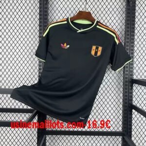 Maillot Pérou Extérieur Coupe du Monde 2026