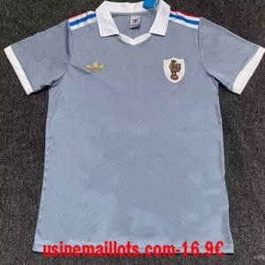 Maillot Spécial-Édition France 2026