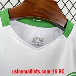 Alternative view of Maillot Spécial-Édition Irlande 2026/2027 Blanc Vert