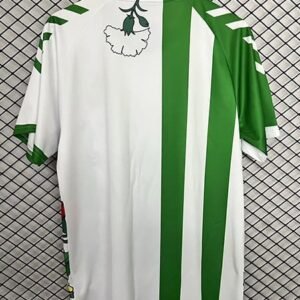 Alternative view of Maillot Spécial-Édition Real Betis 2025/2026 Vert Blanc