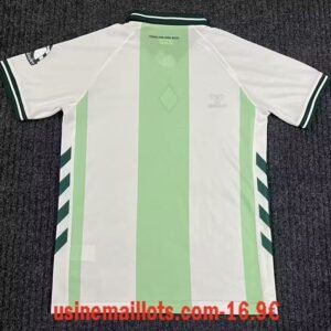 Alternative view of Maillot Spécial-Édition Werder Bremen 2026