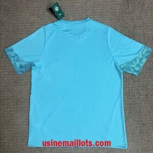 Alternative view of Maillot Training Palmeiras 2026/2027
