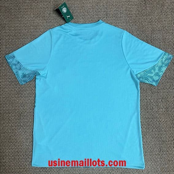 Maillot Training Palmeiras 2026/2027 – Image 2