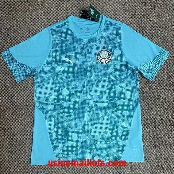 Maillot Training Palmeiras 2026/2027