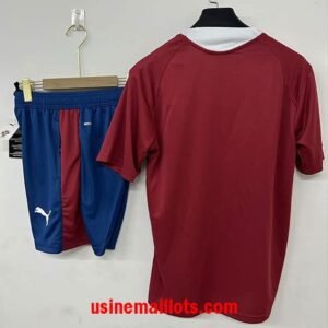 Alternative view of Ensemble Training Portugal 2026/2027 Rouge