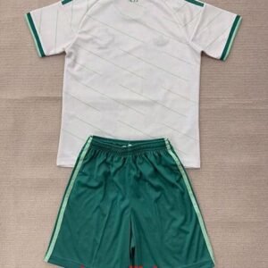 Alternative view of Maillot Enfant Irlande Du Nord Extérieur 2026/2027