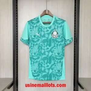Maillot Gardien Palmeiras 2026/2027 Vert