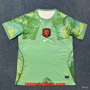 Maillot Gardien Pays Bas Coupe du Monde 2026 Vert