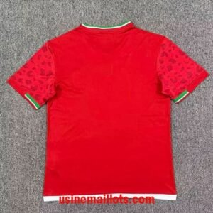 Alternative view of Maillot Irak Extérieur 2026/2027