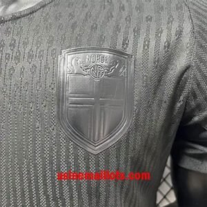 Alternative view of Maillot Match Norvege Extérieur Coupe du Monde 2026