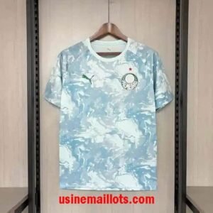 Maillot Pré-match Palmeiras 2026/2027