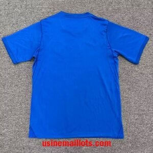 Alternative view of Maillot Slovenie Extérieur 2026/2027