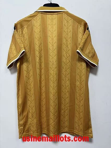 Maillot Spécial-Édition Afrique du Sud 2026 Or – Image 2