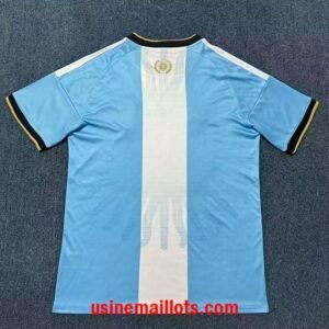 Alternative view of Maillot Spécial-Édition Argentine 2026 Bleu Blanc