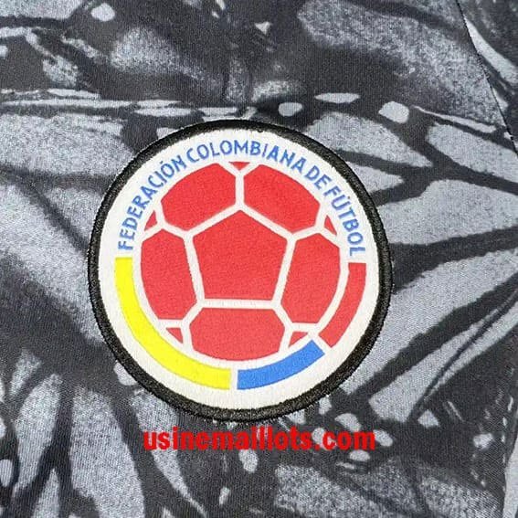 Maillot Spécial-Édition Colombie 2026 Gris – Image 3