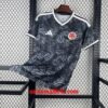 Maillot Spécial-Édition Colombie 2026 Gris