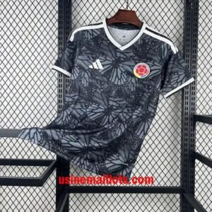 Maillot Spécial-Édition Colombie 2026 Gris