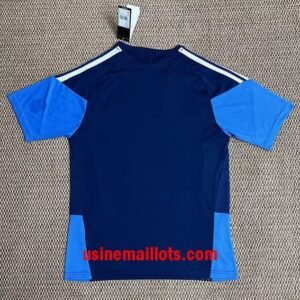 Alternative view of Maillot Training Cruzeiro 2026/27 Bleu