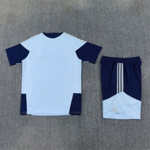 Alternative view of Ensemble Training Ajax 2026/2027