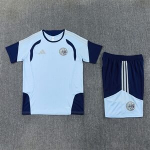 Ensemble Training Ajax 2026/2027