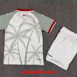Alternative view of Maillot Enfant Haiti Extérieur Coupe du Monde 2026 Blanc Gris