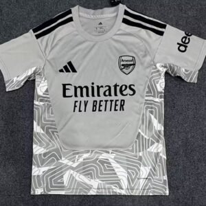 Maillot Gardien Arsenal 2026/2027 Gris
