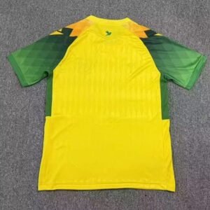 Alternative view of Maillot Nantes Domicile 2026/2027 Jaune Vert