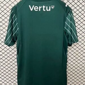 Alternative view of Maillot Plymouth Argyle Domicile 2026/2027 Vert
