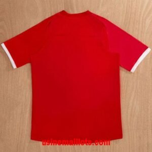 Alternative view of Maillot Rétro Angleterre Extérieur 2010