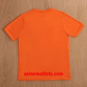 Alternative view of Maillot Rétro Pays-Bas Domicile 2014