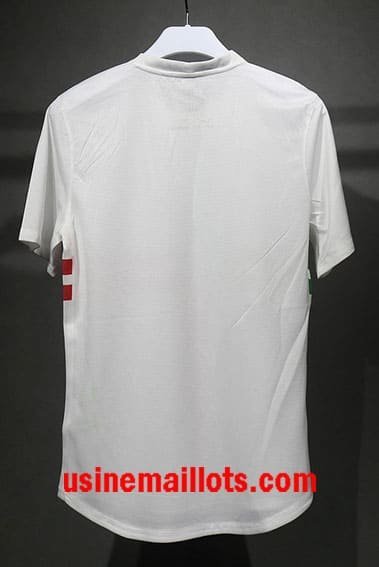 Maillot Rétro Portugal Extérieur 2012 – Image 2