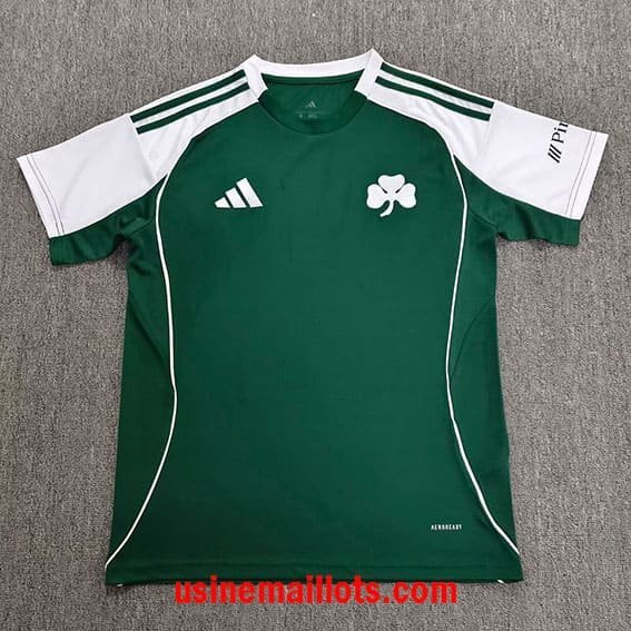Maillot Spécial-Édition Celtic 2026/2027 Vert Blanc