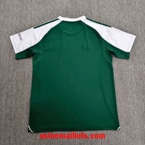 Alternative view of Maillot Spécial-Édition Celtic 2026/2027 Vert Blanc